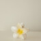 PINZA HAWAIIAN FLOWER BLANCO/AMARILLO