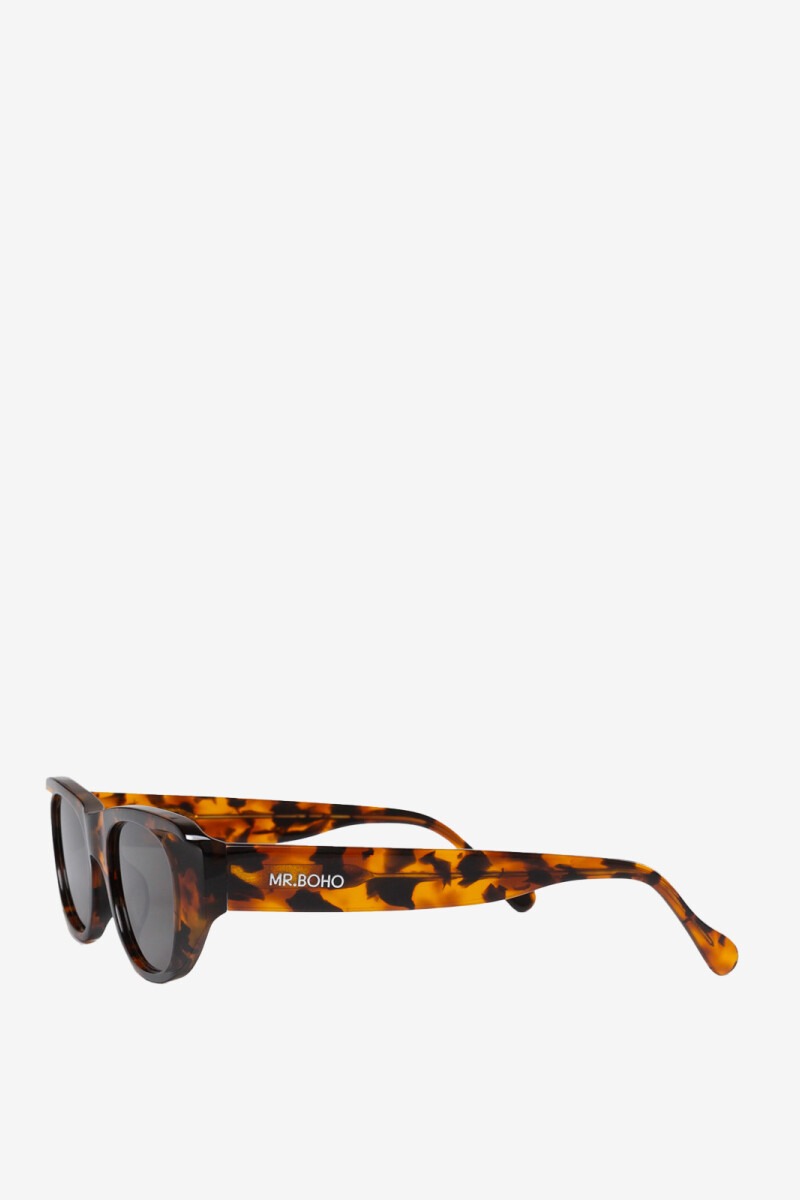 Guyam Cheetah Tortoise Crudo