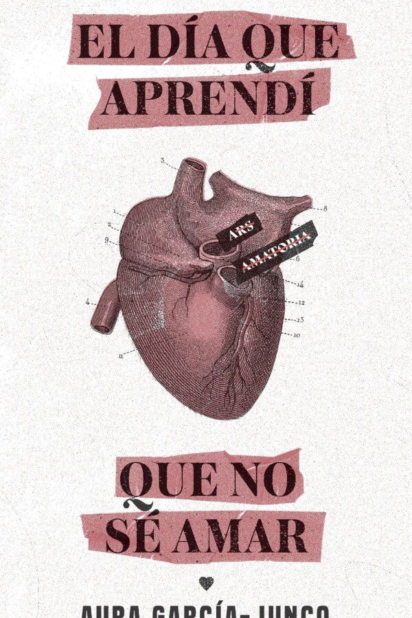 Día Que Aprendí Que No Sé Amar, El Día Que Aprendí Que No Sé Amar, El