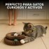 Juguete Expandible Rascador De Gatos Dona Acordeon Yerba Juguete Expandible Rascador De Gatos Dona Acordeon Yerba