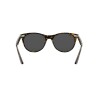 Ray Ban Rb2185 Wayfarer Ii 1292/b1