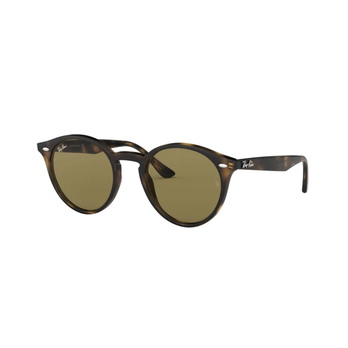 Ray-Ban Black on Gold Havana