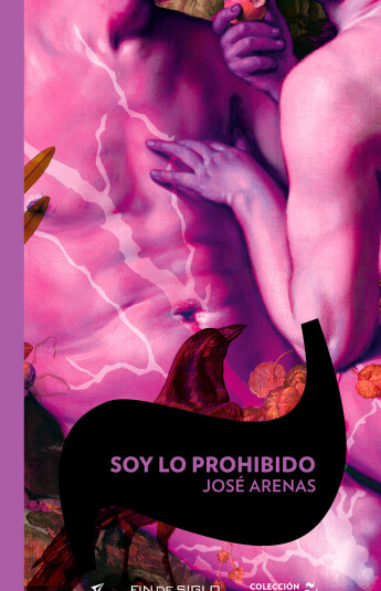 Soy lo prohibido Soy lo prohibido