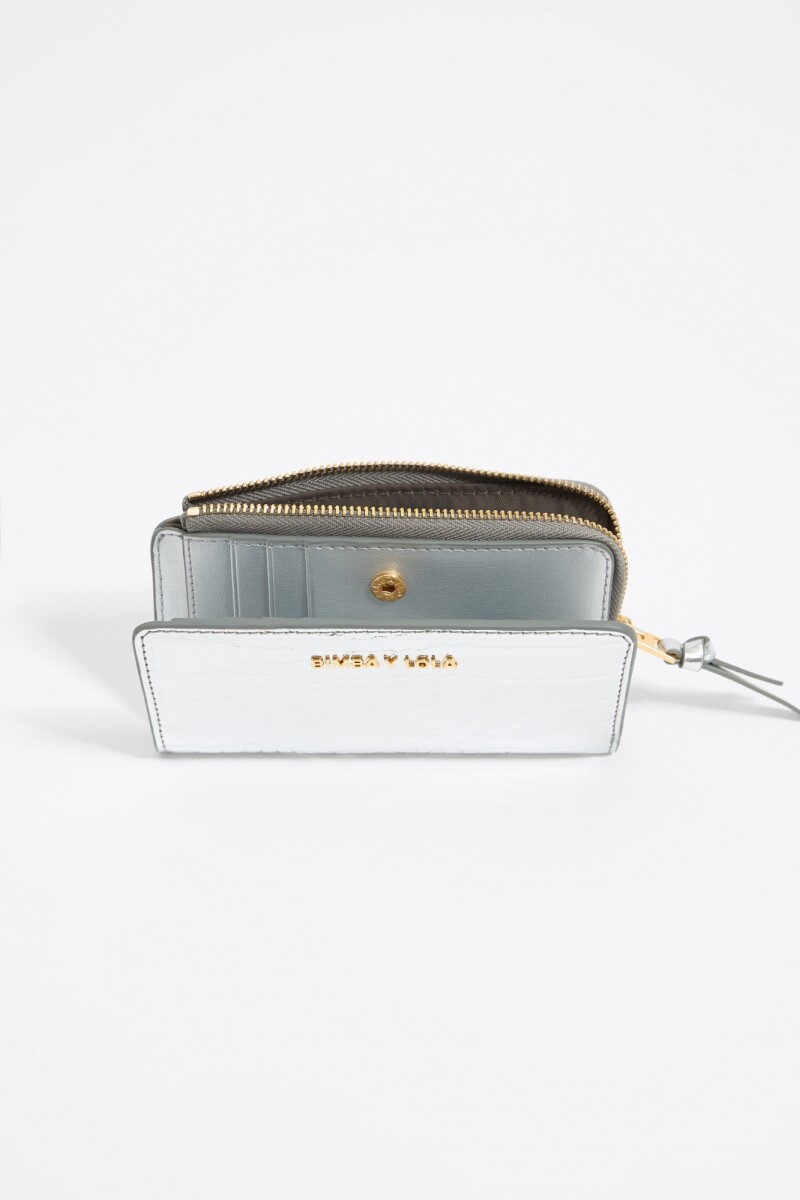CARTERA Plata