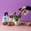 43-1J-001 Rociador Muanual Pulverizador De Agua Cactus Verde Le Etudio