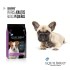EQUILIBRIO PERROS ADULTOS RAZAS PEQUEÑAS 2KG