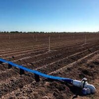 Manguera chata 100 mts. 1"