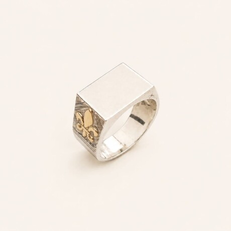 Anillo Sello - Plata y Oro Anillo Sello - Plata y Oro