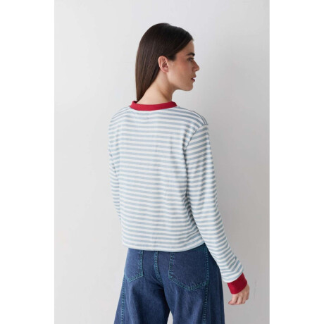 Pre Venta Basic Team Rayas Celeste