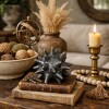 DECORACION SPINE Negro - Medium