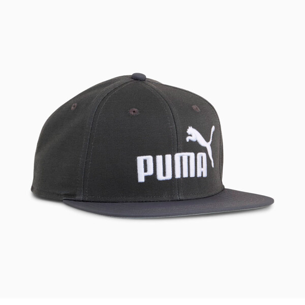 Puma N°1 Logo Flat Brim Cap Gris Oscuro