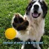 PELOTA MACIZA PARA PERROS 8.5 CM PELOTA MACIZA PARA PERROS 8.5 CM