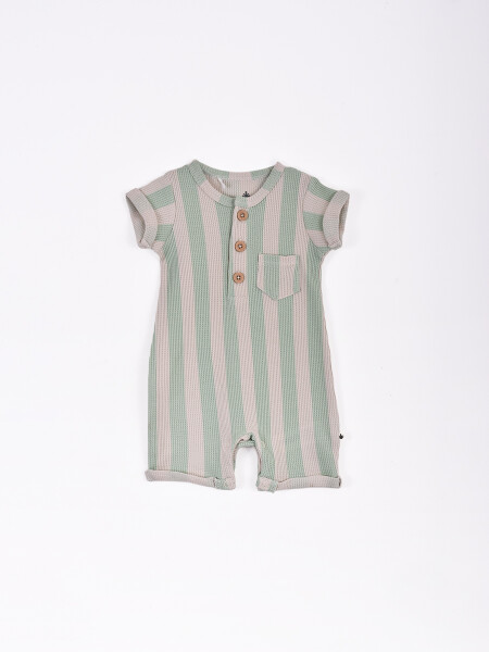 ENTERITO DAELIN VERDE CLARO