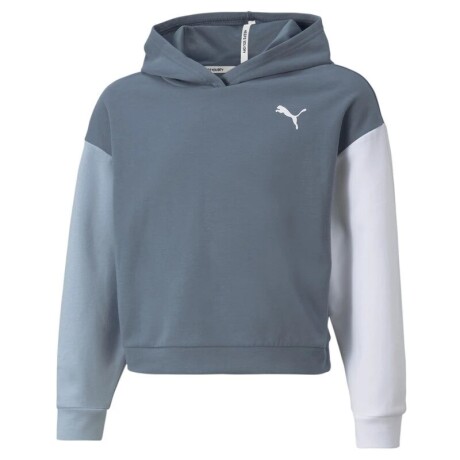 Buzo Puma Niño Modern Sport Hoodie S/C