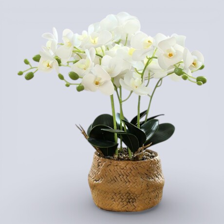 Orquídea Artificial Grande Blanco