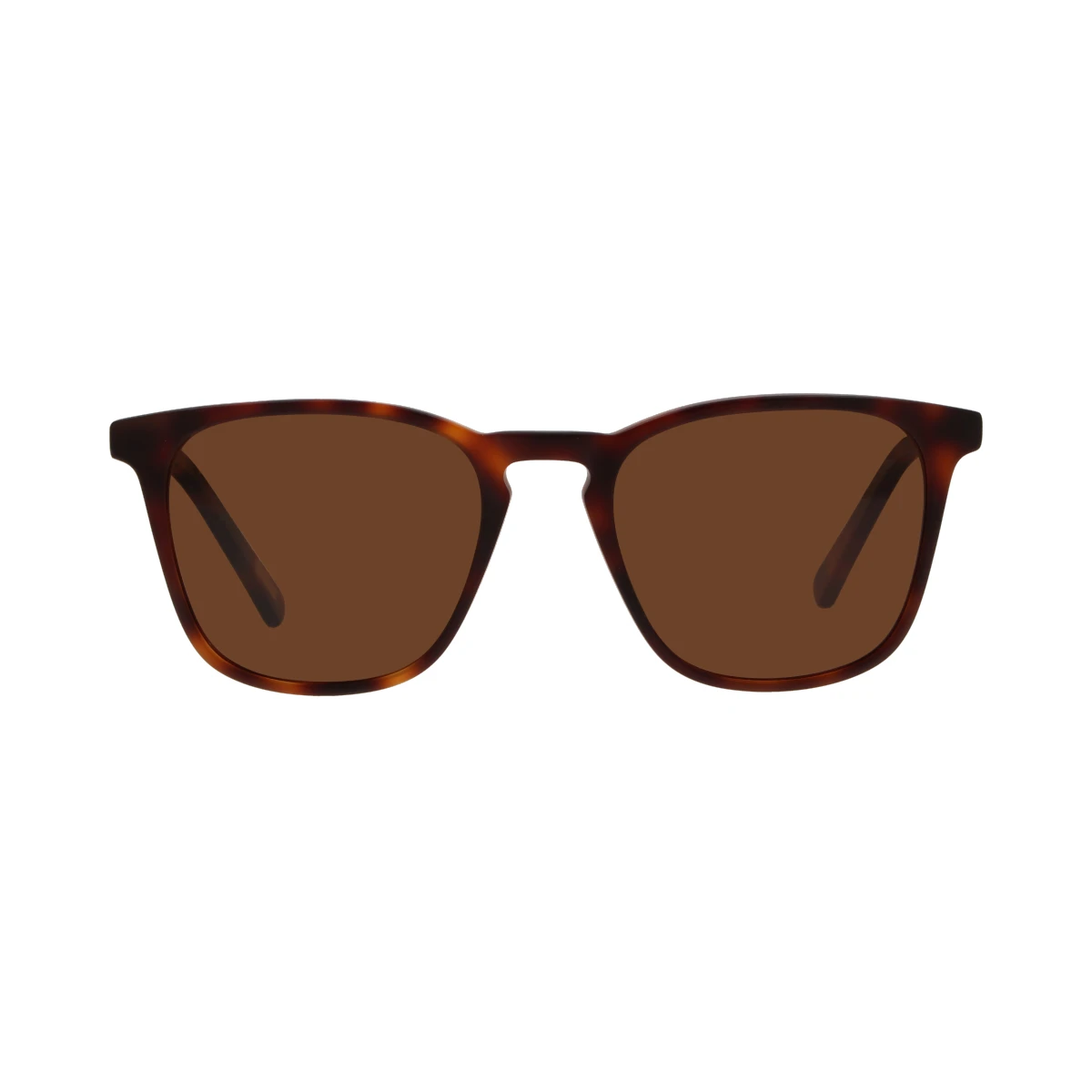 6012 Sol - Carey+Marrón 
