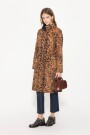 Tapado Bridge Leopardo