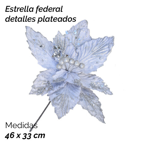 Estrella Federal Blanca Con Detalles En Plateado 46x33cm Unica