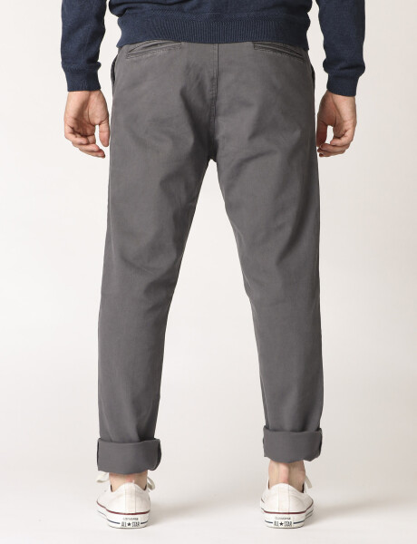 080422 PANTALÓN SPORT S/PINZAS HARRY Gris