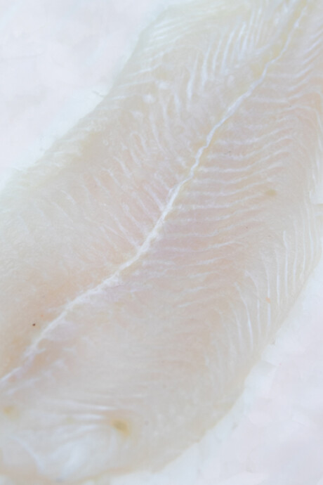 Filete de Pangasius 1Kg