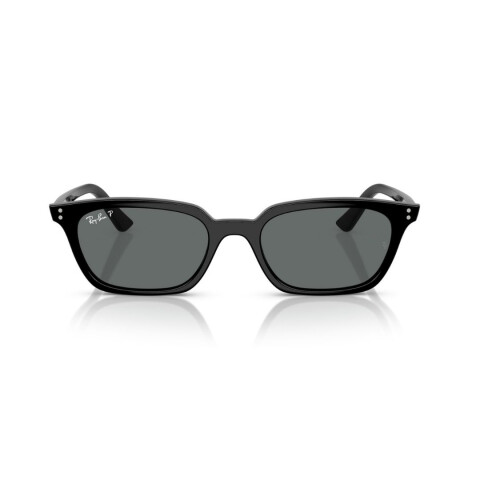 RB 4456/53 col 667781 polarized Rb 4456/53 Col 667781 Polarized