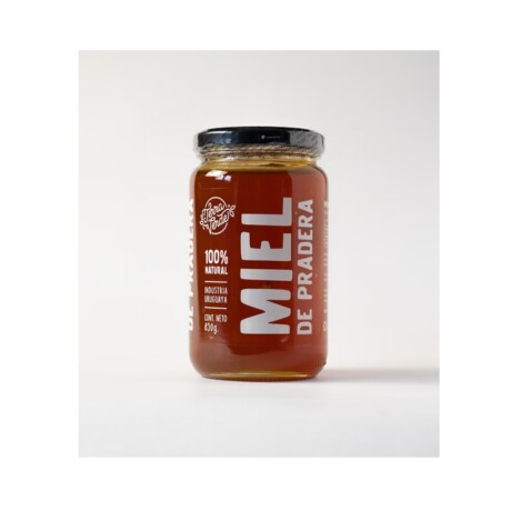 Miel Terra Verde 3004 de Pradera 850GS 001
