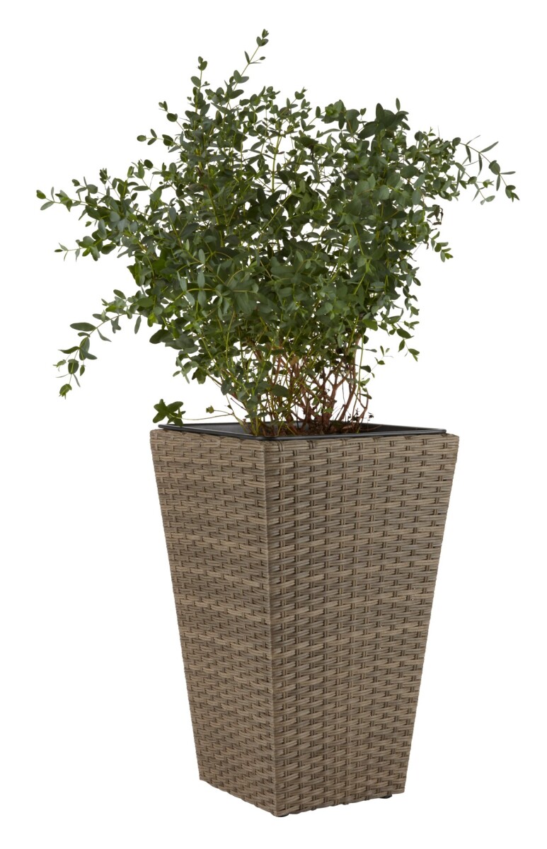 Maceta BLOMMOR A31xL31xA50 nat 