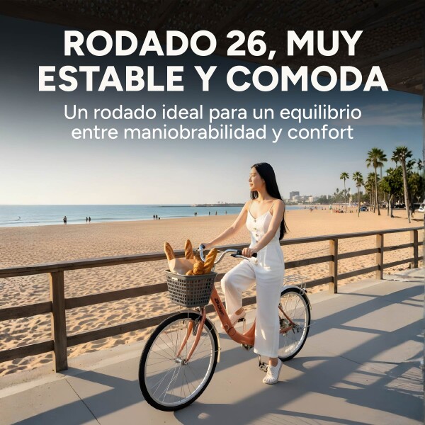 Bicicleta BDF Paseo Urbana Rodado 26 " Canasto Freno V-Brake Rosa 1