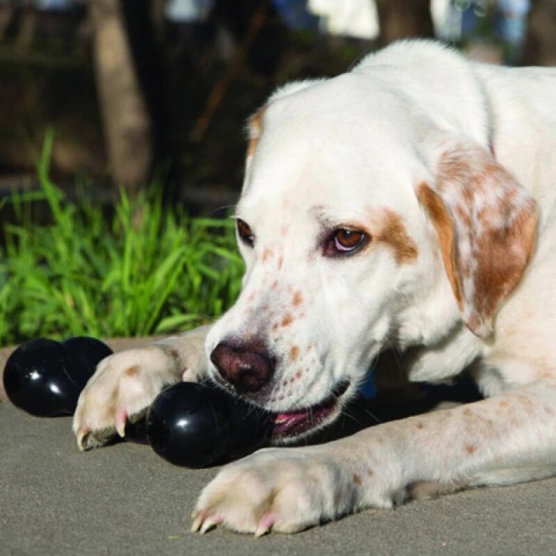 Kong Extreme Goodie Bone Medium Kong Extreme Goodie Bone Medium