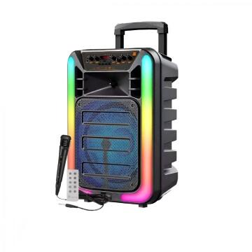 Parlante Portatil Bluetooth Karaoke C/ Microfono Recargable Color Negro