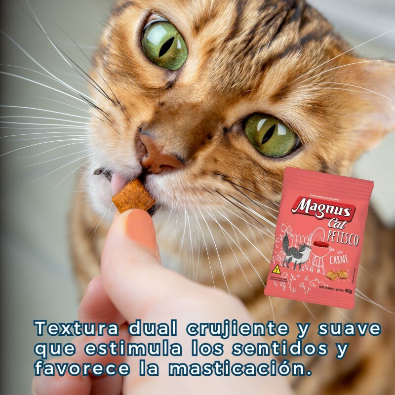 SNACK MAGNUS CAT PETISCO 40 GRAMOS SABOR CARNE