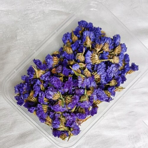 Flores secas artificiales LL N/a