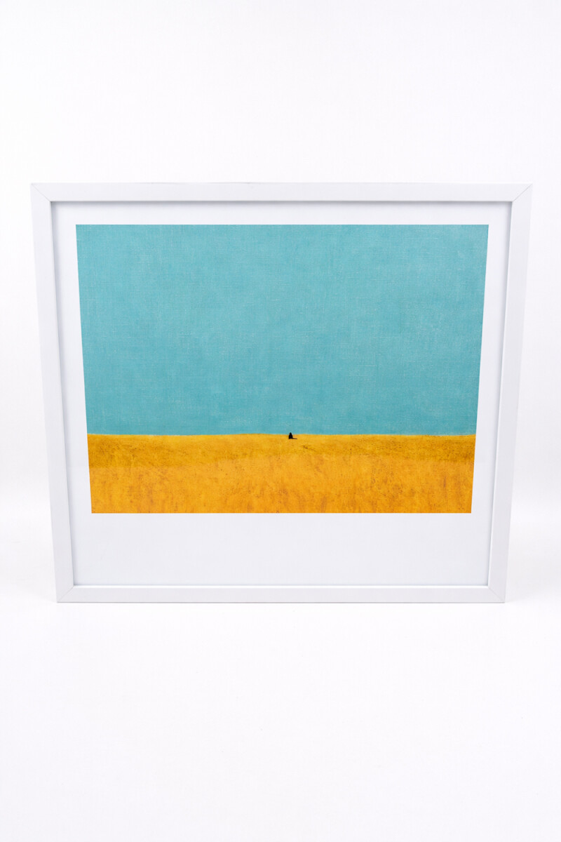 Cuadro Cova - Estampado 2 