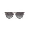 Ray Ban Rb4171 Erika 6513/8g