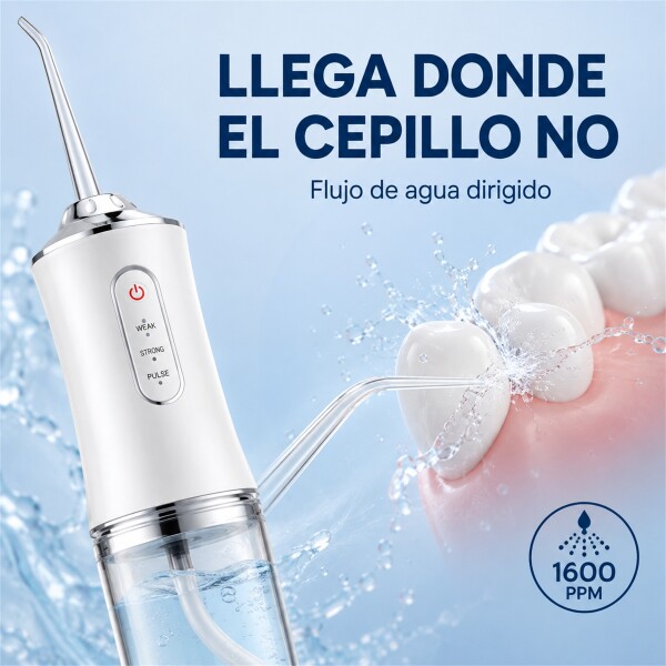 Irrigador Limpiador Oral Bucal Dental Brackets Profesional Blanco