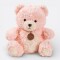 Osito Teddy con Collar Rosa
