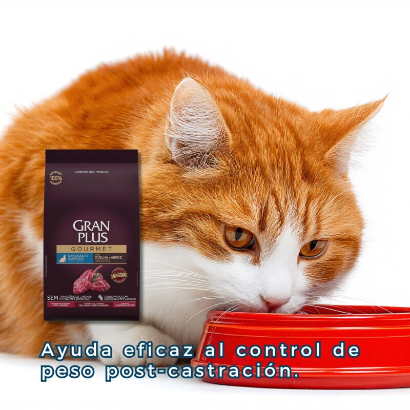 GRAN PLUS GOURMET GATO ADULTO CASTRADO CORDERO 10 KILOS