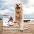 BUTAFLEX INYECTABLE FCO 100 ML BUTAFLEX INYECTABLE FCO 100 ML