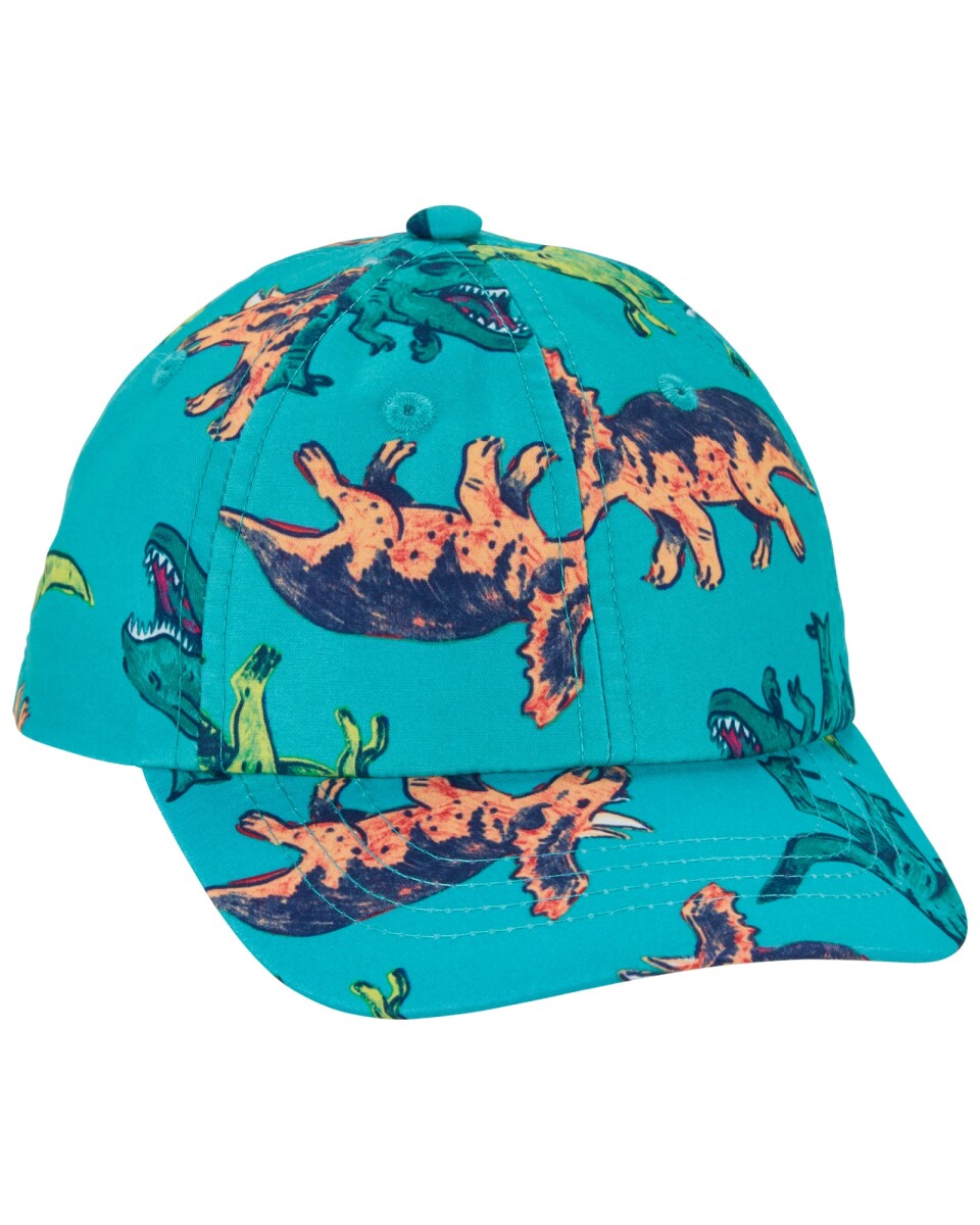 Gorra con visera, diseño dinosaurios 