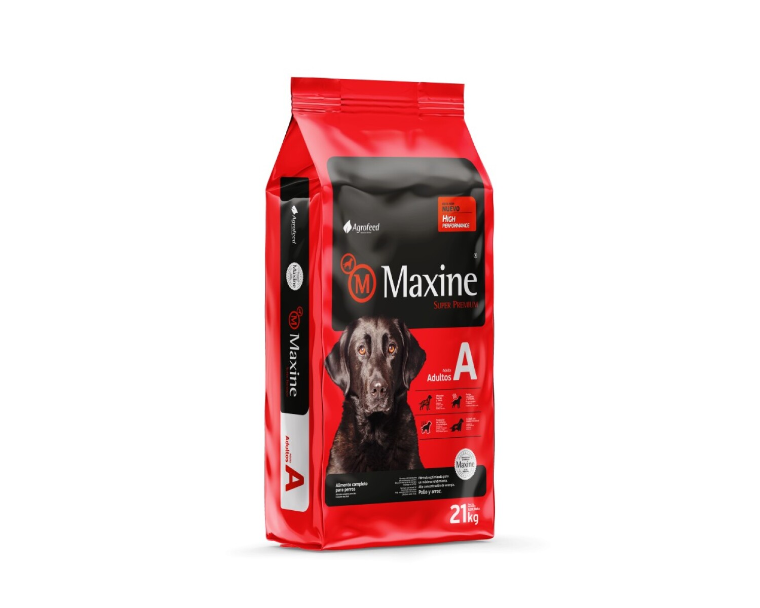 MAXINE ADULTO DE 21 KG 
