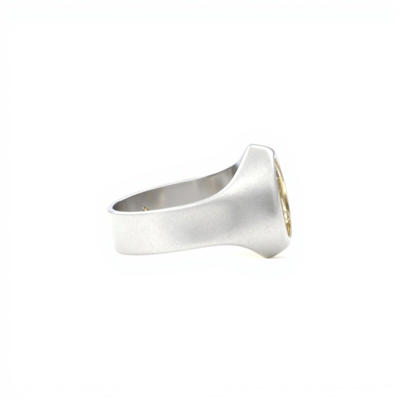 Anillo Profesión Auxiliar de Farmacia -Plata y Oro-Sin Piedra-AP5020 sinpiedra
