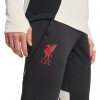 PANTALON DE ENTRENAMIENTO LIVERPOOL FC TIRO 25 Black