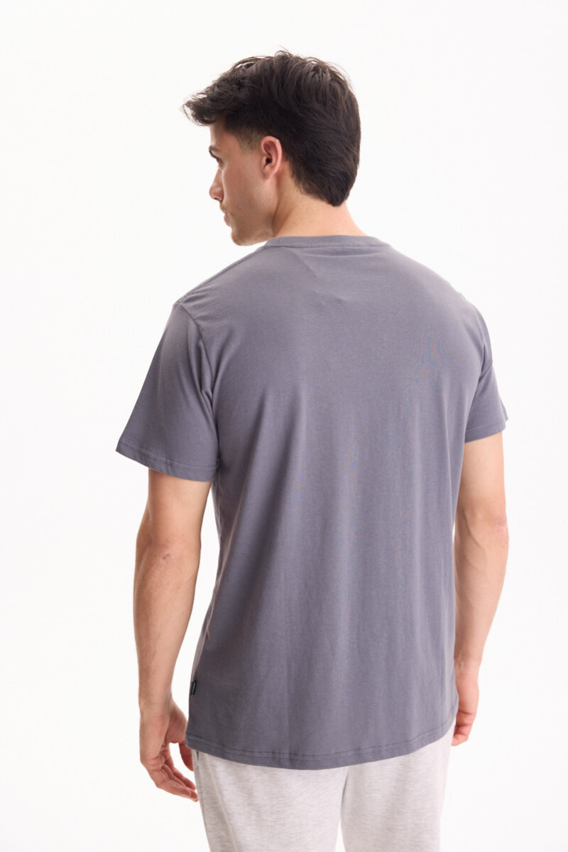Remera Boston Gris