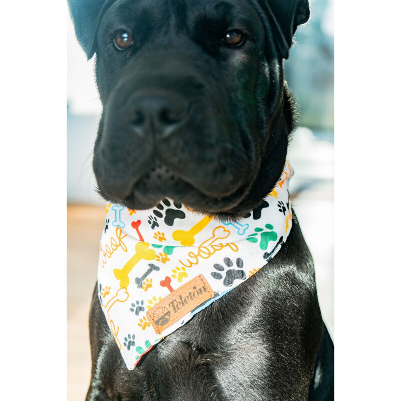 Bandanas para tu mascota Bandanas para tu mascota