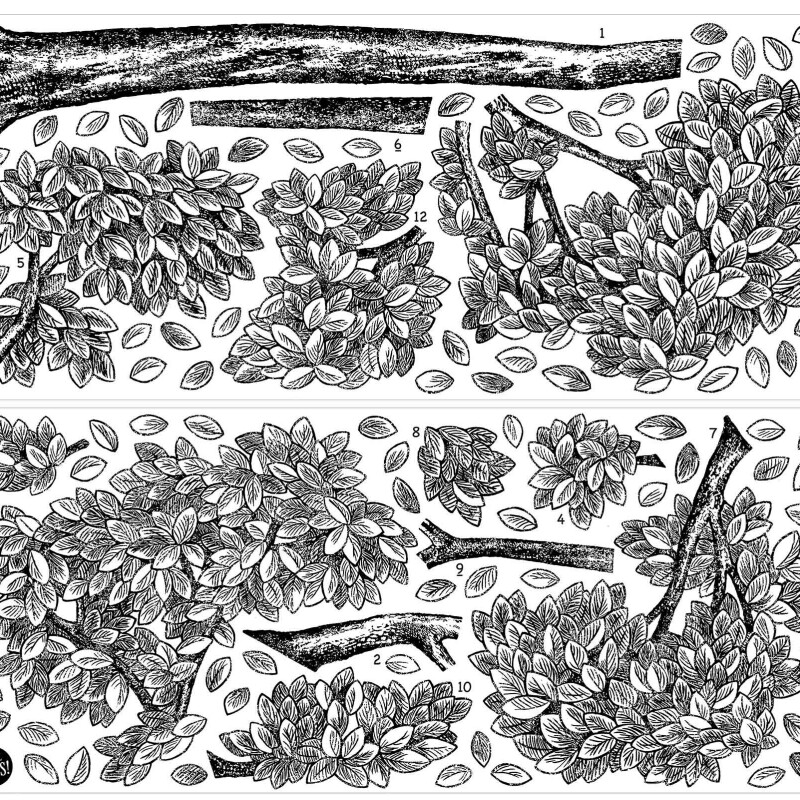 WALLPOPS MULBERRY TREE WALL ART KIT N/A