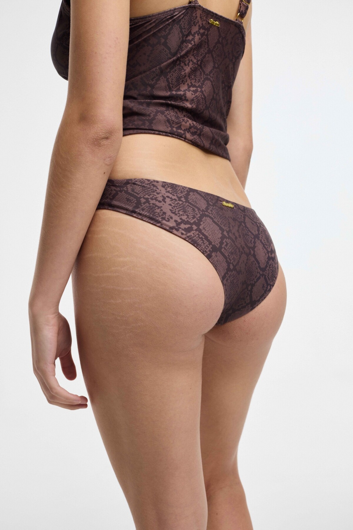 Bikini Daytona Snake