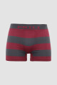 Boxer galés Bordeaux oscuro