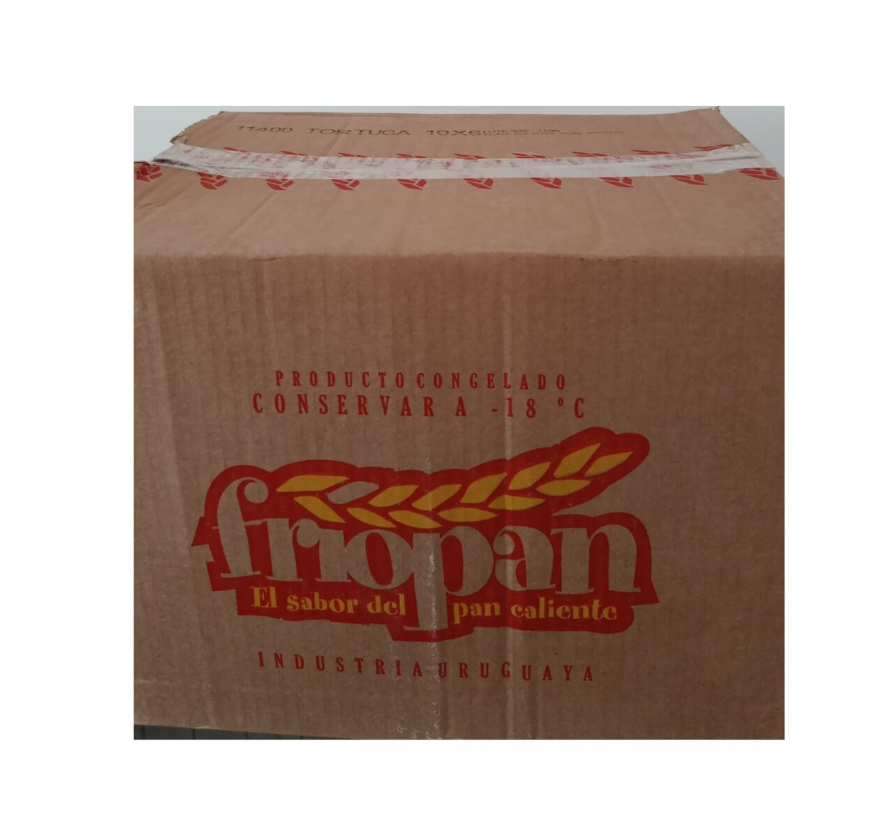 CAJA TORTUGAS X60 UNIDADES 