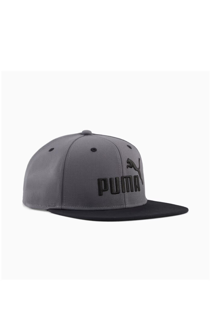 Gorro Puma visera recta Ess Logo N1 Logo Flat 026838 Gris