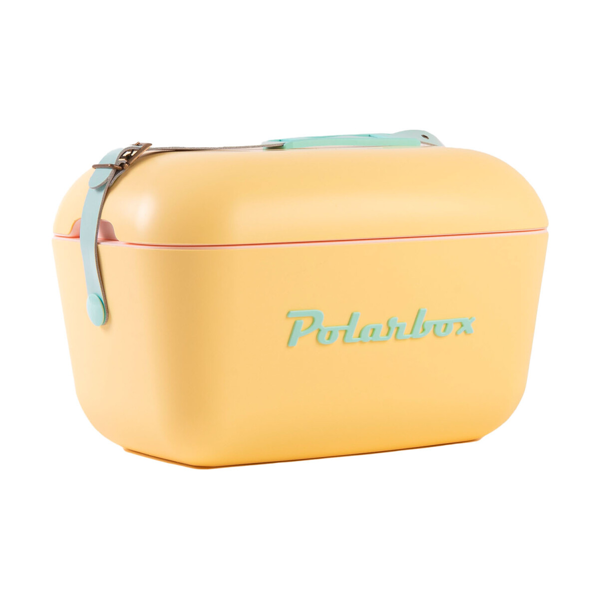 Conservadora Térmica Retro 20L Polarbox Playa Camping Viajes - Amarillo/verde Agua 